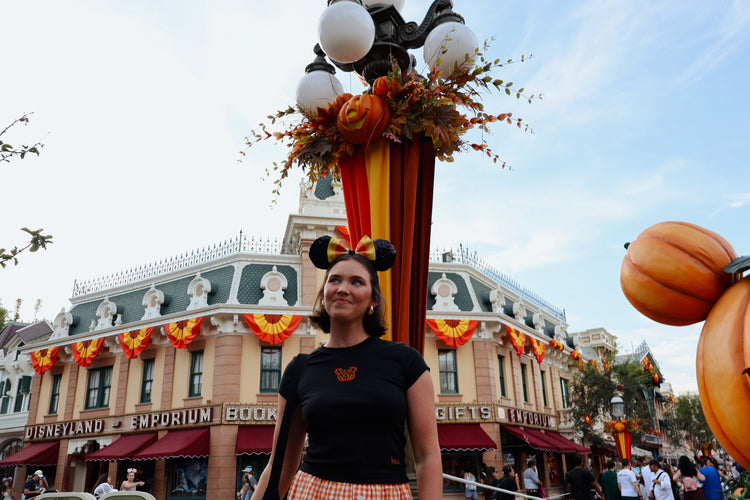 The Disney Collection